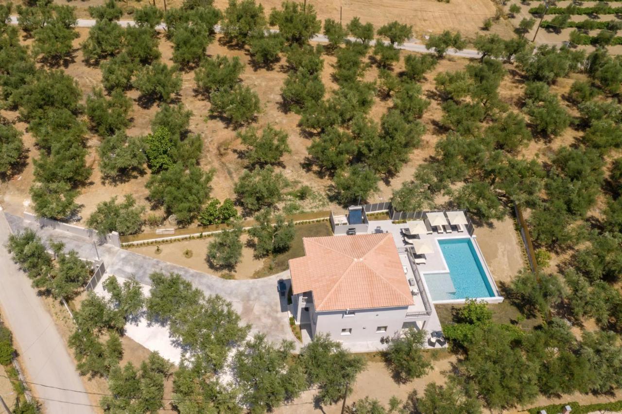 Villa Olivea Kalpáki Kültér fotó